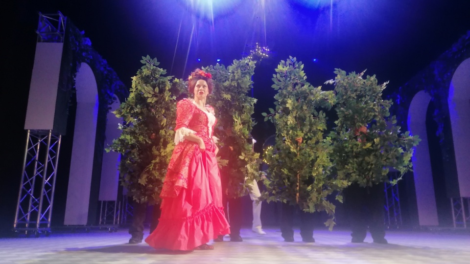 „Księżniczka na opak wywrócona” w Teatrze im. Horzycy w Toruniu/fot. Iwona Muszytowska-Rzeszotek