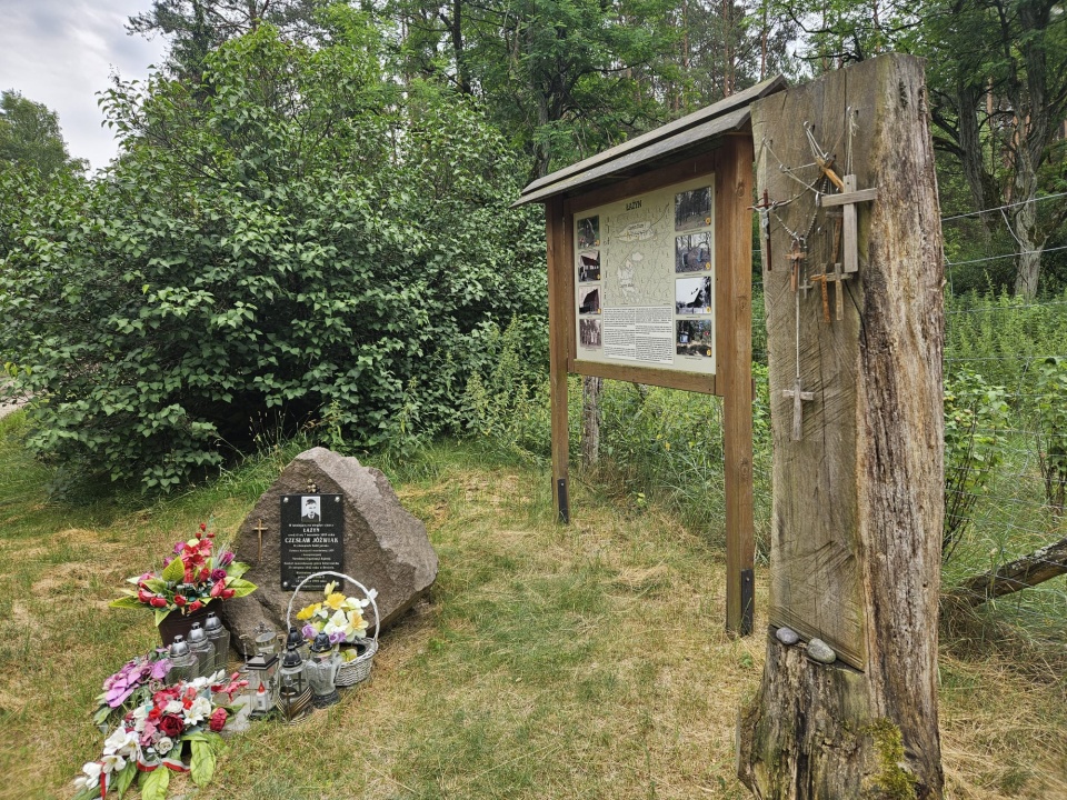 Puszcza Bydgoska/fot. Adriana Andrzejewska-Kuras
