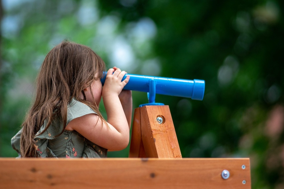 Piknik odbędzie się na terenie przy ul. Wola Zamkowa 12a w Toruniu/fot. ilustracyjna, Pixabay