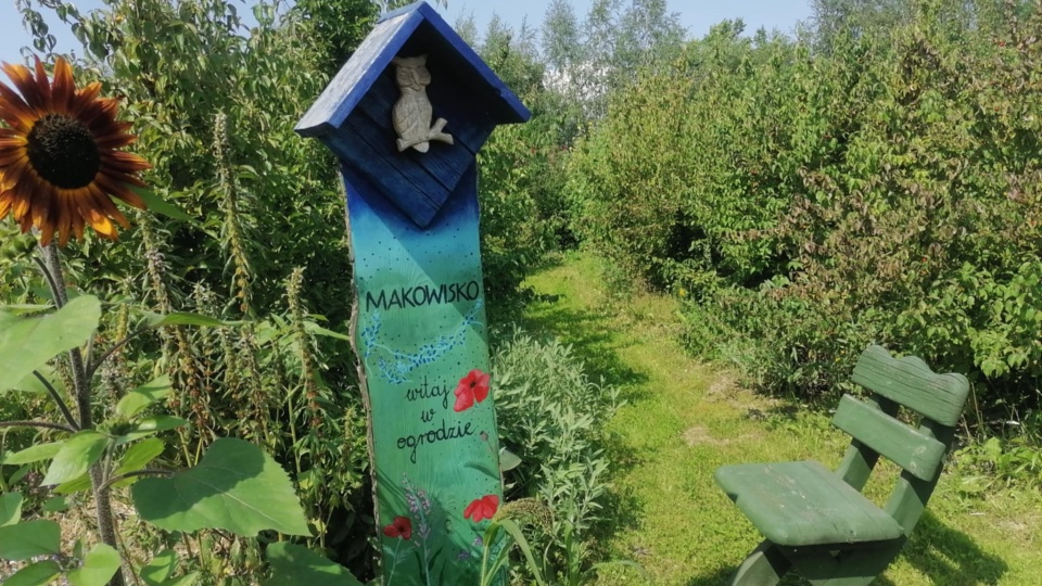 Podczas obchodów 10. urodzin Makowiska w powietrzu unosił się zapach ziół. Można było też coś „wrzucić na ząb” i kupić ręcznie wykonane produkty/fot: Monika Siwak
