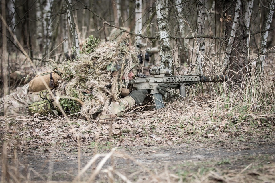 Finlandia zacieśnia współprace militarną z USA/fot. pixabay.com