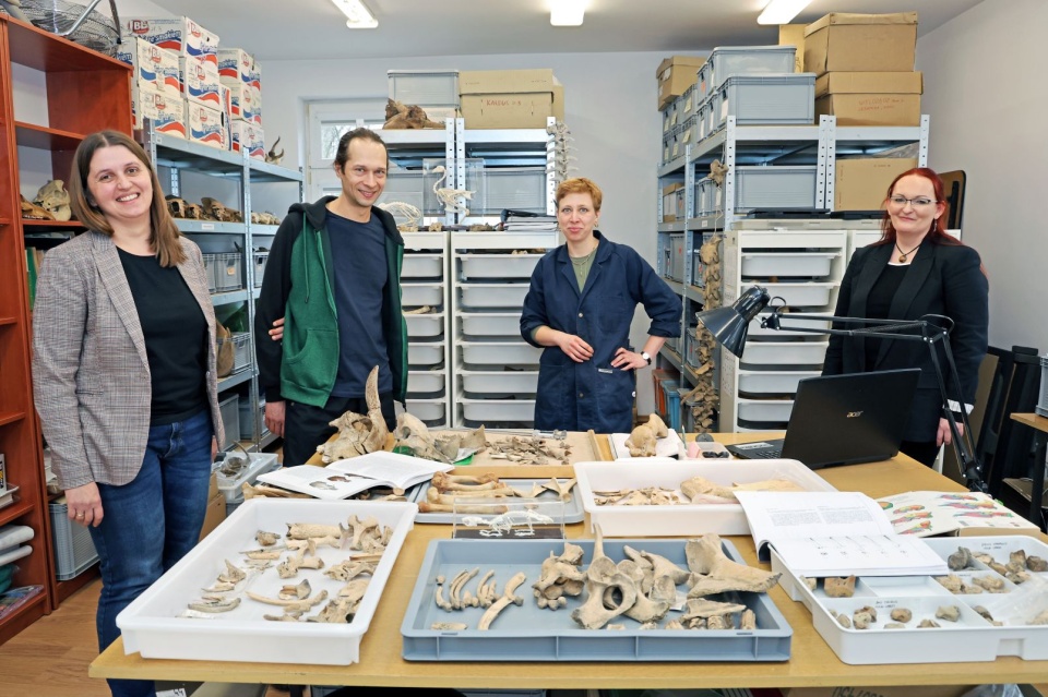 Badania prowadzone w ramach projektu mają charakter interdyscyplinarny, ważne będzie w nich m.in. ujęcie archeologiczne/fot. Andrzej Romański/Uniwersytet Mikołaja Kopernika w Toruniu/Źródło: https://portal.umk.pl;