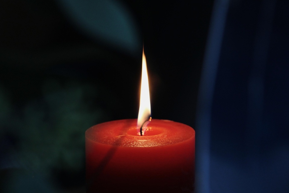 Prokuratura Rejonowa w Brodnicy potwierdziła wstępną przyczynę śmierci 52-letniej żony Ryszarda Rynkowskiego/fot.: Pixabay