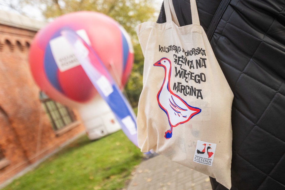 Gęsie tuszki zostaną przekazane zwycięzcom konkursów w sobotę (25 października)/fot. Szymon Zdziebło dla UMKWP