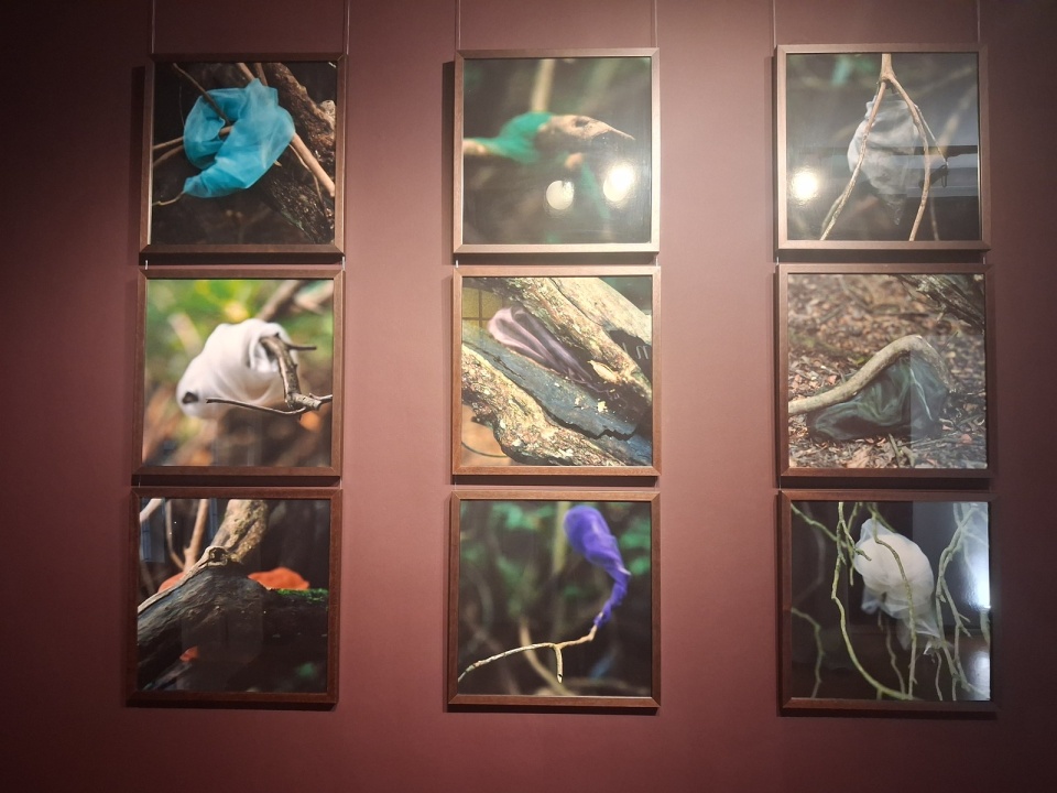 Wystawa „Pomiędzy/Inter. Basia Sokołowska" w Muzeum Uniwersyteckim. / Fot. Iwona Muszytowska-Rzeszotek