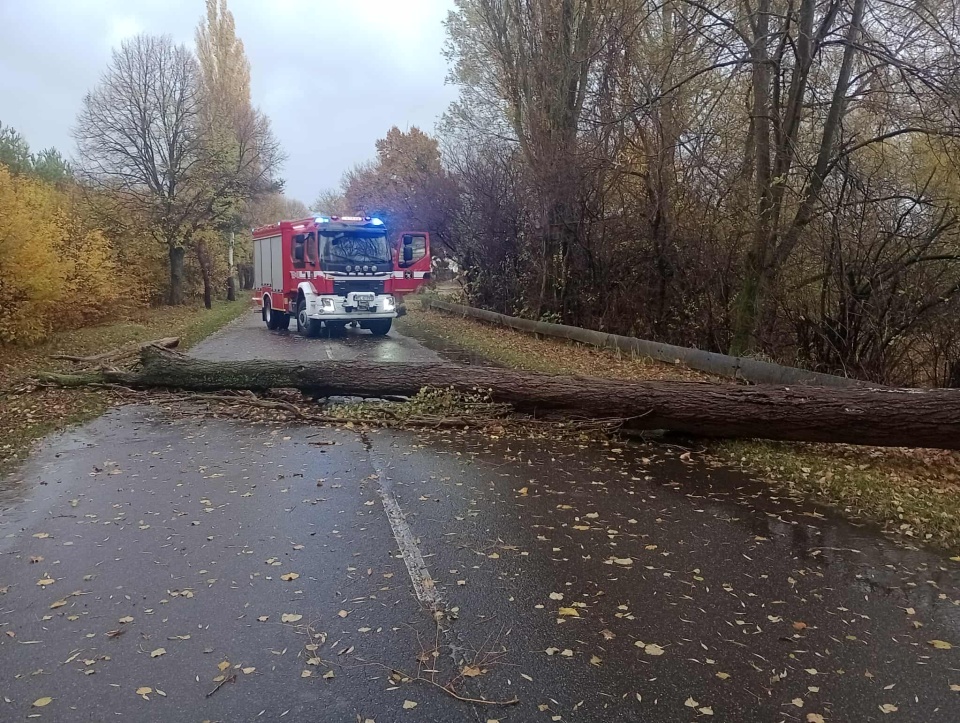 Problemem były drzewa powalone na drogach/fot. Ochotnicza Straż Pożarna w Bądkowie Kościelnym/Facebook