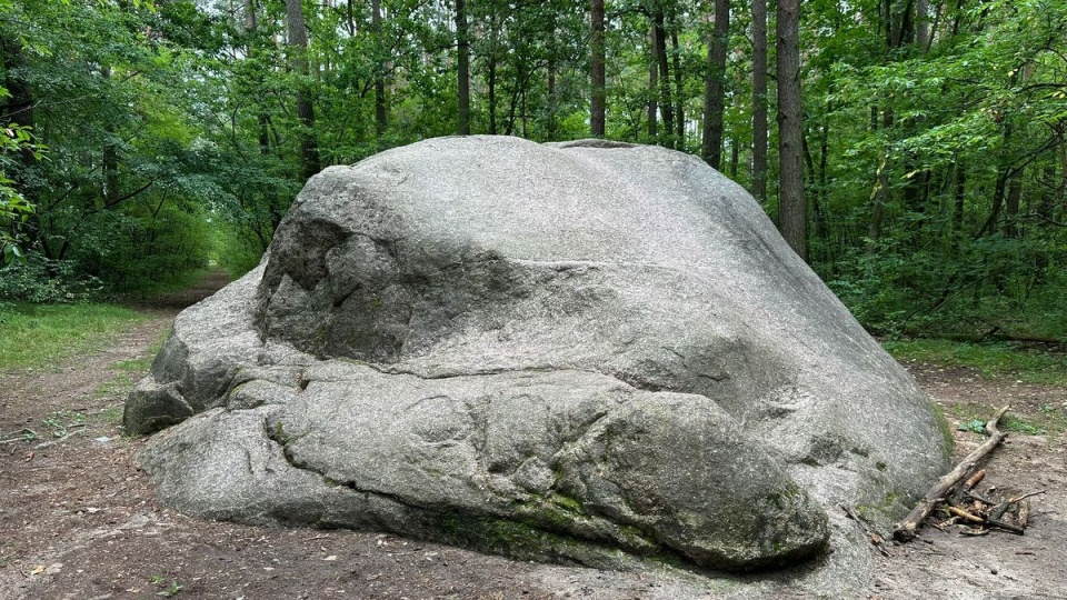 Diabelski Kamień zwany Kamieniem św. Wojciecha, który można znaleźć w Borach Tucholskich. / Fot. Tomasz Kaźmierski / archiwum