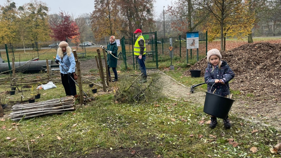 Ogród biocenotyczny powstał w parku przy ul. Unii Lubelskiej w Bydgoszczy/fot. Natasza Trzebuchowska