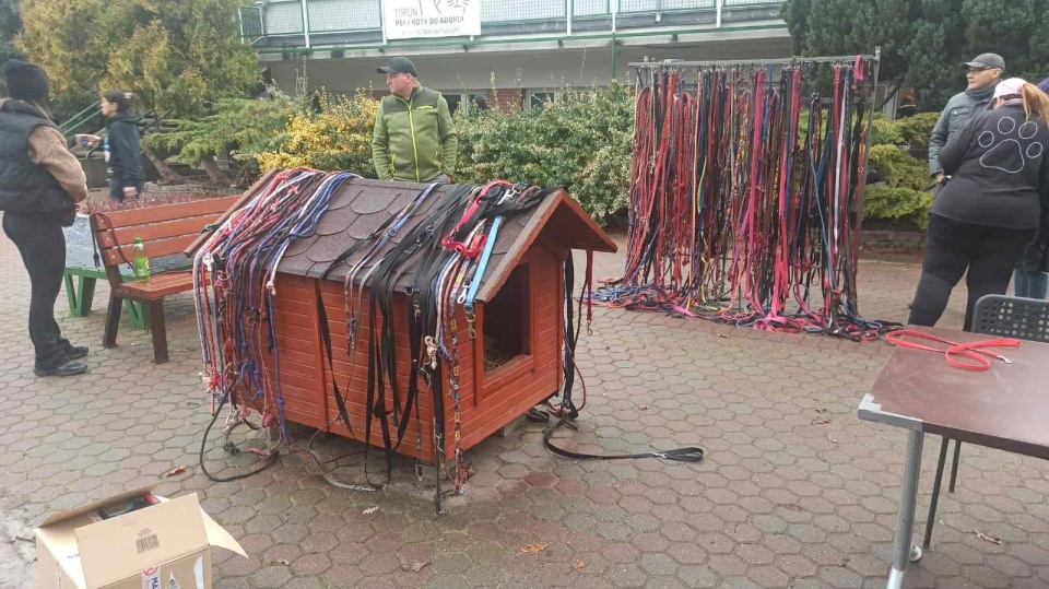 Torunianie zadbali o psy ze schroniska/fot. Robert Duliński