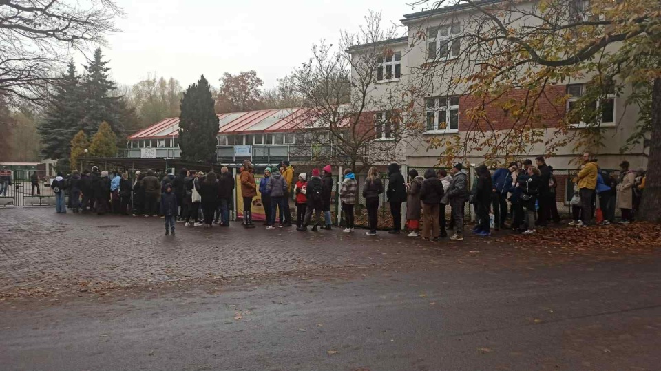 Torunianie zadbali o psy ze schroniska/fot. Robert Duliński