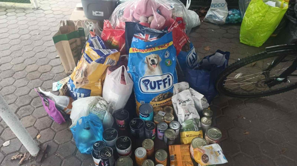 Torunianie zadbali o psy ze schroniska/fot. Robert Duliński