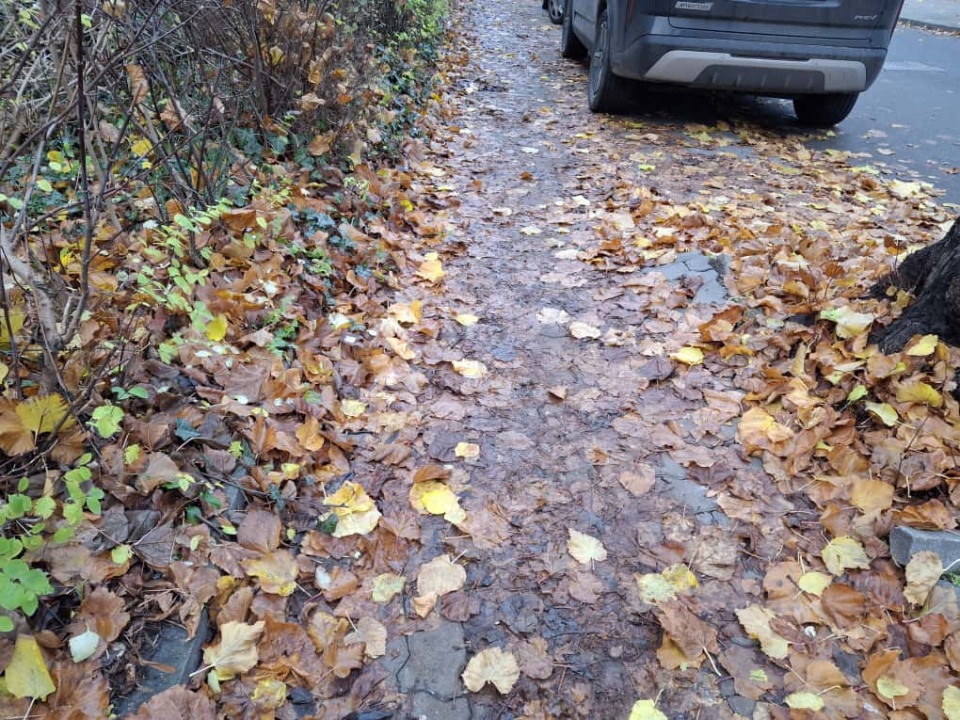Tak wygląda jeden z chodników na osiedlu Kościuszki w Świeciu. / Fot. Marcin Doliński