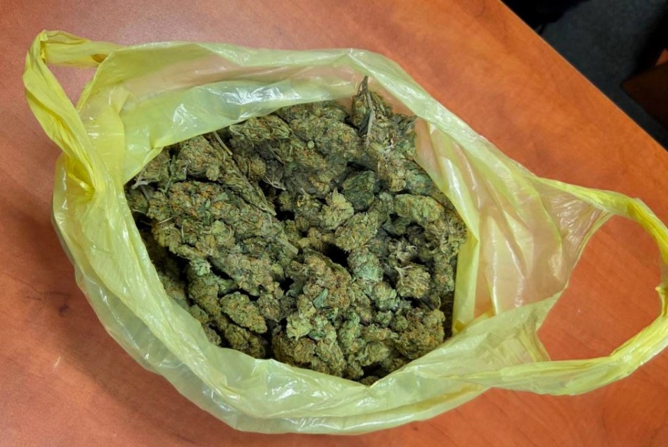 Zabezpieczone środki przez policję/fot. KMP w Bydgoszczy