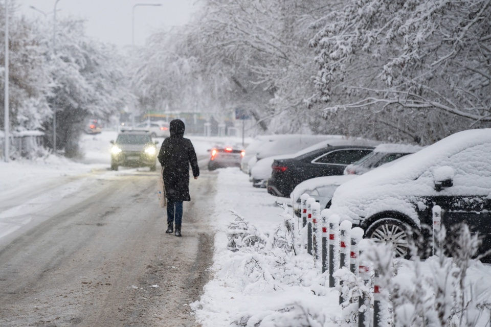 Interwencje dotyczyły głównie powalonych drzew i konarów łamiących się pod ciężarem mokrego śniegu/fot. Jakub Kaczmarczyk, PAP