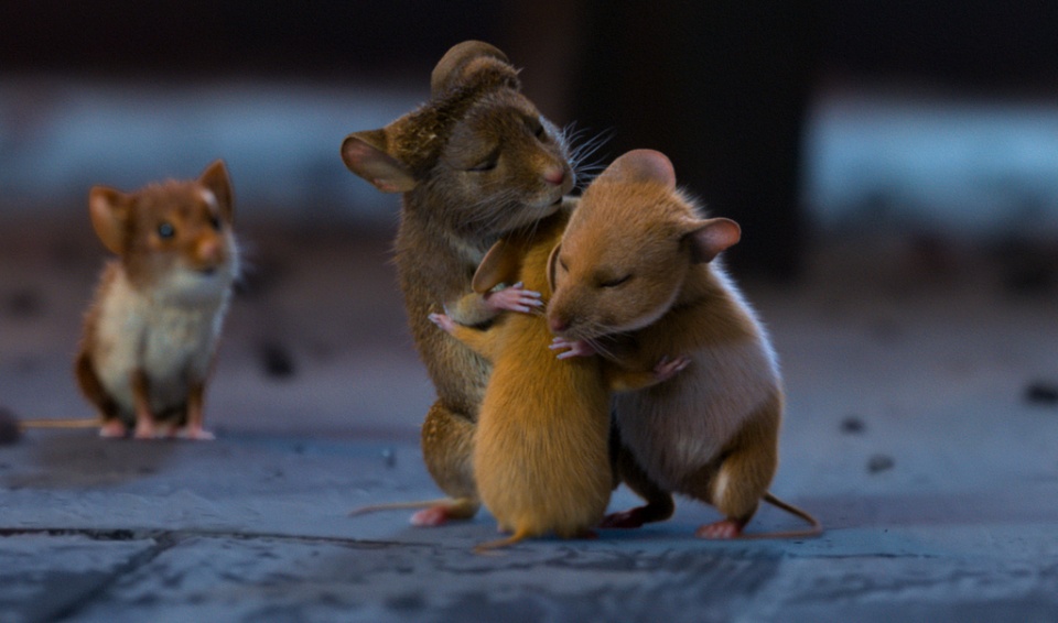 Zdeterminowane myszki nie oddadzą swojego miejsca bez walki/fot. materiały BestFilm