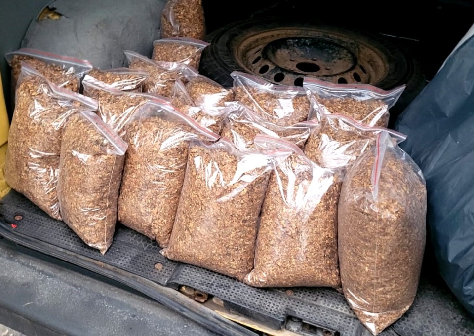 Zatrzymana przez policję krajanka/fot. /asp. Łukasz Tomaszewski, KPP w Tucholi