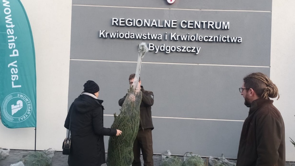 Akcja „Choinka dla Życia” w Inowrocławiu/fot. Marcin Glapiak
