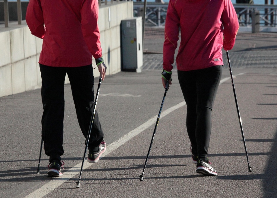 Do zdarzenia doszło w Lnianie podczas marszu nordic walking. / Fot. ilustracyjna, Pixabay