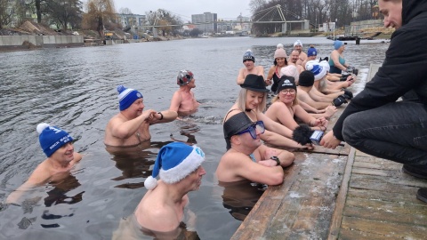 Morsy powitały Nowy Rok kąpielą/fot. Damian Klich