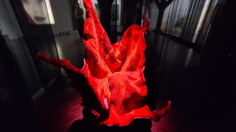 Wystawa „Wszędzie widzę jednorożce” w Galerii Sztuki Wozownia w Toruniu/fot. Iwona Muszytowska-Rzeszotek