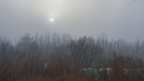 Zimowy krajobraz z Ogrodu Botanicznego Krajowego Centrum Roślinnych Zasobów Genowych Instytutu Hodowli i Aklimatyzacji Roślin-Państwowego Instytutu Badawczego/fot. Jarosław Mikietyński