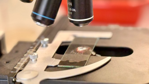 Noc Biologów w Bydgoszczy zakończy się w o godz. 20 w piątek, 16 stycznia/ Fot. Izabela Langer