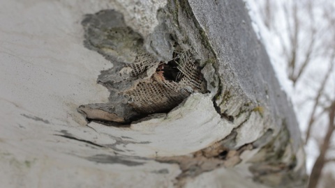 Dziś charakterystyczna rzeźba niszczeje/ fot. Nadesłane