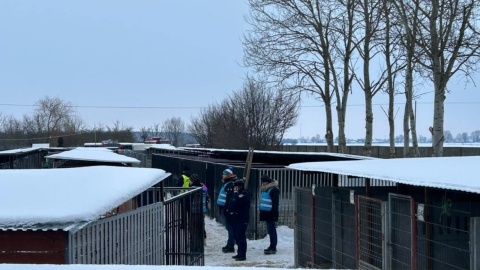 Schronisko w Ostrowitem/ Fot. Robert Duliński