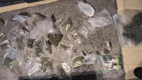 Bydgoscy policjanci zabezpieczyli 75 kilogramów narkotyków/fot. mat. policyjne
