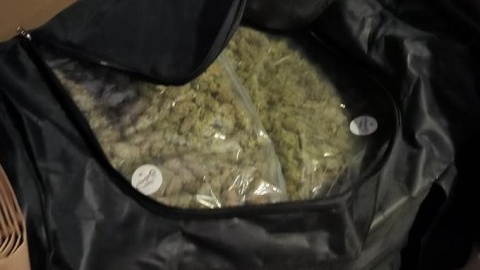 Bydgoscy policjanci zabezpieczyli 75 kilogramów narkotyków/fot. mat. policyjne