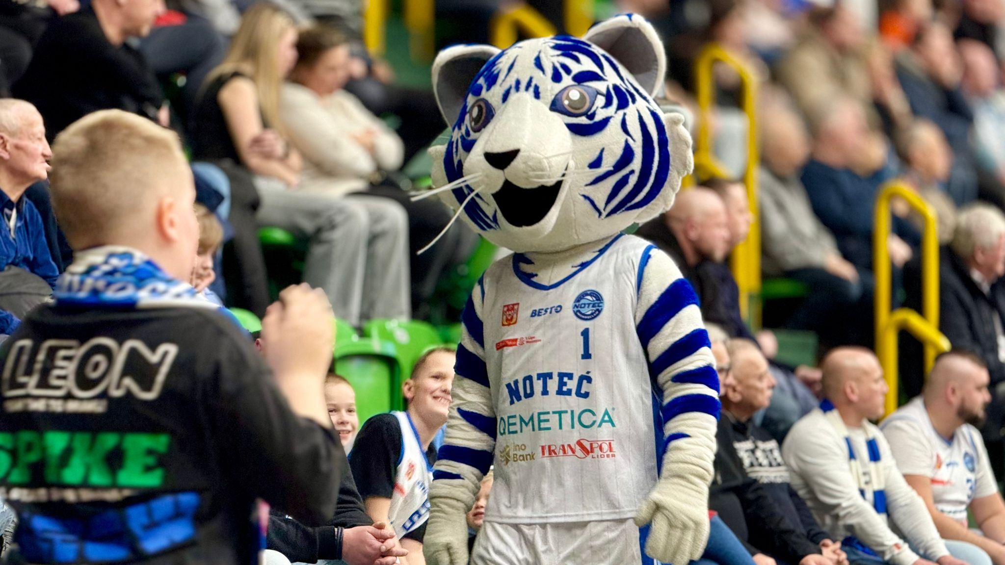 Twardy mecz, wielka wygrana. Noteć lepsza od Miners w meczu za cztery punkty