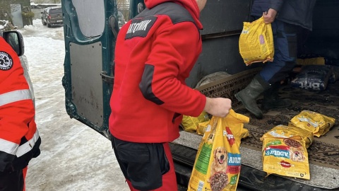 Ratownicy WOPR w Toruniu, po codziennym patrolu terenów przywodnych i Wisły, ruszyli na pomoc zwierzętom/Fot. WOPR Toruń