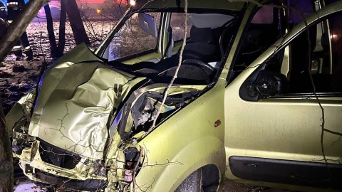 Skutki wypadku w Przysieku po spotkaniu z dzikiem. / Fot. PSP Toruń