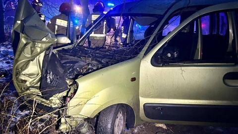 Skutki wypadku w Przysieku po spotkaniu z dzikiem. / Fot. PSP Toruń