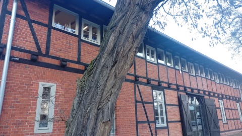 Swoje pomysły do projektu „Forteczny Park Kulturowy” mogą zgłaszać mieszkańcy/Fot. Michał Zaręba