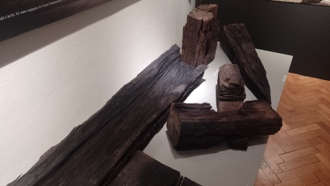 Wystawa w toruńskim Muzeum Okręgowym/fot. Michał Zaręba