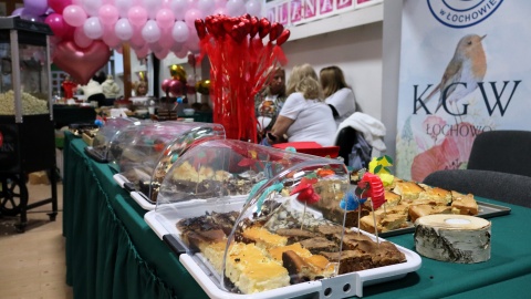 Wydarzenie pod hasłem "Razem dla Nadii" w szkole podstawowej w podbydgoskich Białych Błotach/fot. Tatiana Adonis