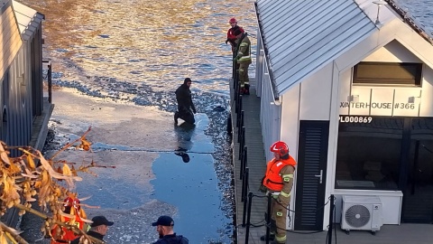 Akcja służb na Brdzie. / Fot. Marcin Kupczyk