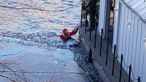 Akcja służb na Brdzie. / Fot. Marcin Kupczyk