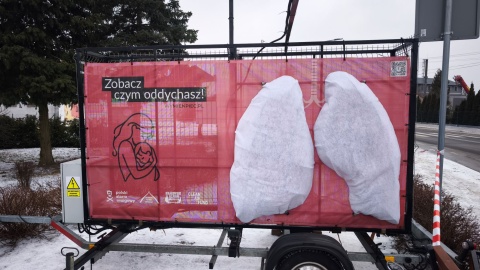 Model ludzkich płuc w Dąbrowie (pow. mogileński) tuż po zamontowaniu/fot. Maciej Rusnarczyk