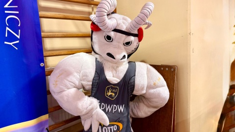 Zapaśnicza Gwiazda Bydgoszcz/fot. Izabela Langner