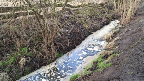 Tak prezentuje się woda, która płynie w rowie w Chrystkowie. / Fot. Marcin Doliński