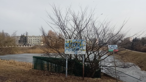 Tak obecnie prezentuje się toruński staw Kaszownik. / Fot. Michał Zaręba