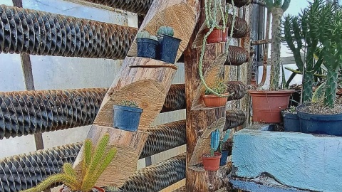 Ogród Botaniczny IHAR w bydgoskim Myślęcinku/fot. Jarosław Mikietyński