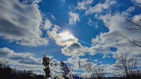 Ogród Botaniczny IHAR w bydgoskim Myślęcinku/fot. Jarosław Mikietyński