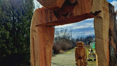 Ogród Botaniczny IHAR w bydgoskim Myślęcinku/fot. Jarosław Mikietyński