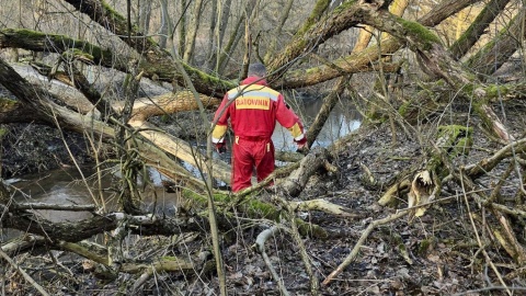 Ciało mężczyzny wyłowiono w piątek z rzeki w Cierpicach pod Toruniem/fot. WOPR Toruń