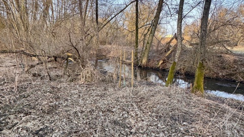 Ciało mężczyzny wyłowiono w piątek z rzeki w Cierpicach pod Toruniem/fot. WOPR Toruń