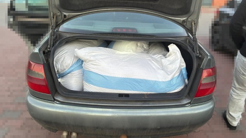 76-latek z Torunia naraził Skarb Państwa na ponad 156 tysięcy złotych straty/fot. KMP w Toruniu