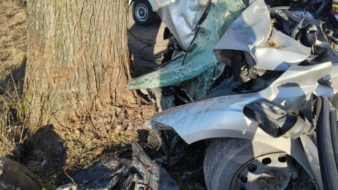 Do tragicznego zdarzenia doszło w gminie Świecie nad Osą/ Fot. KM PSP Grudziądz